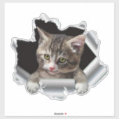 Peeking Cat Vinyl Decal |Kfz-Abtrieb, Autoaufklebe Aufkleber (Blatt)