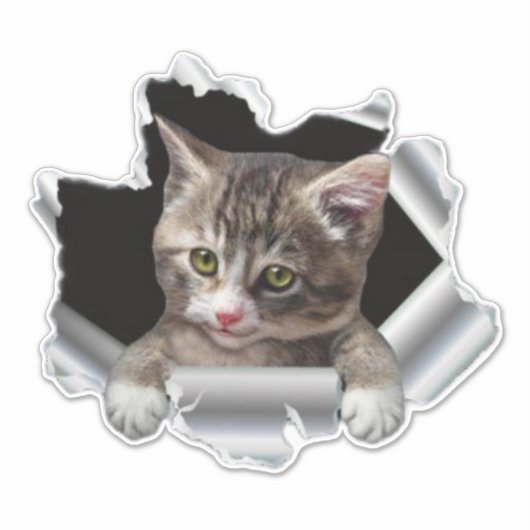 Peeking Cat Vinyl Decal |Kfz-Abtrieb, Autoaufklebe Aufkleber (Vorderseite)