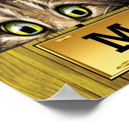 Peeking Cats Poster (Ecke)