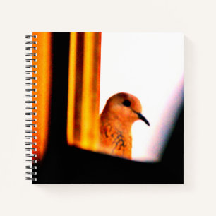 Peeking Dove Notizblock