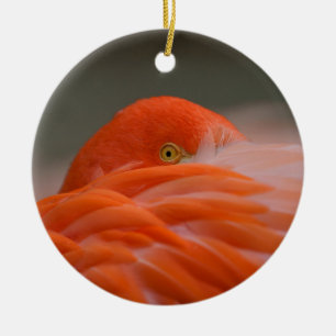 Peeking Flamingo Keramik Ornament