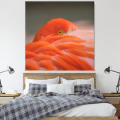 Peeking Flamingo Leinwanddruck (Insitu (Schlafzimmer))