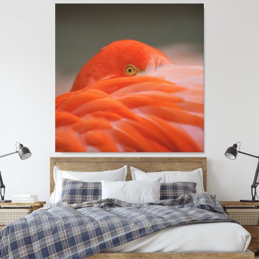 Peeking Flamingo Leinwanddruck (Insitu (Schlafzimmer))