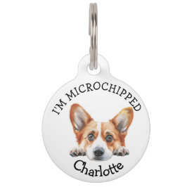 Peeking Gold Corgi Puppy Personalisiert Haustiermarke