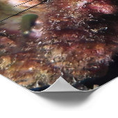 Peeking-Gruppe Poster (Ecke)