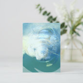 Peeking Manatee Postcard Postkarte (Stehend Vorderseite)