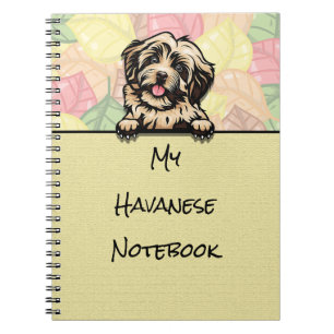 Peeking Niedlich Havanese Notebook Notizblock
