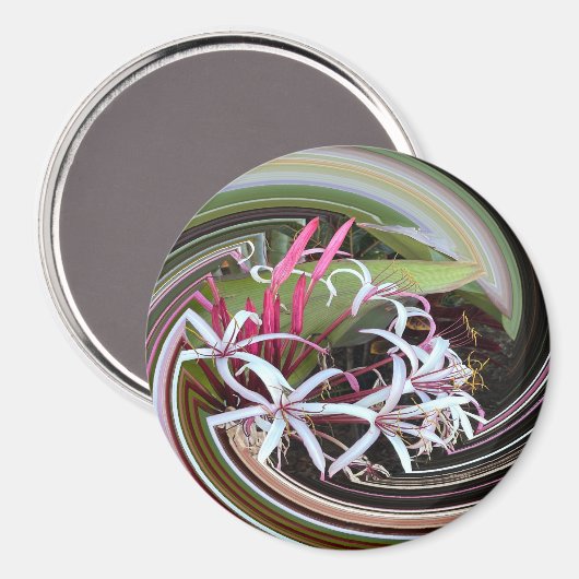 Peeking out...... magnet (Vorderseite/Rückseite)