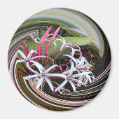 Peeking out...... magnet (Vorne)