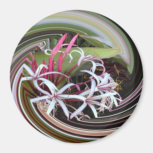 Peeking out...... magnet (Vorne)