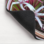 Peeking out...... mousepad (Ecke)