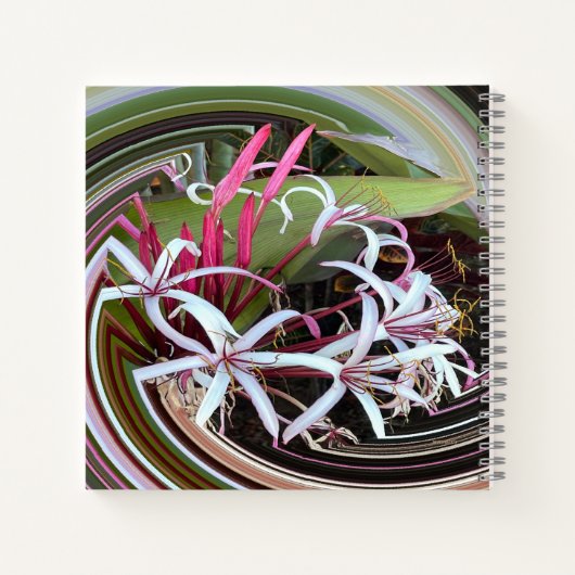 Peeking out...... notizblock (Rückseite)