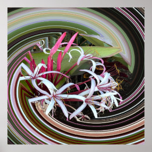 Peeking out...... poster