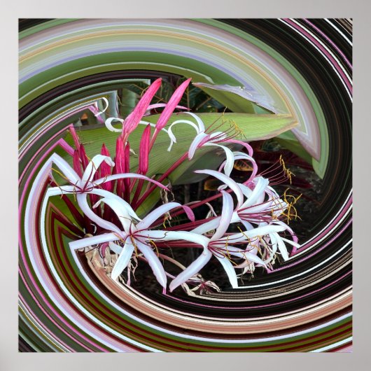 Peeking out...... poster (Vorne)