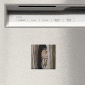 Peeking Owl Lover Kühlschrank Magnet (In Situ (Geschirrspüler))