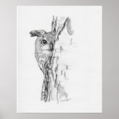 Peeking Owl" Poster (Vorne)