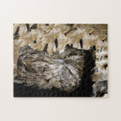 Peeking Puzzle (Horizontal)