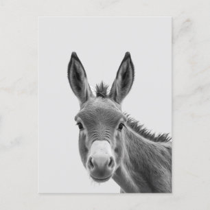 Peeking Sneaky Donkey Niedlich Postkarte