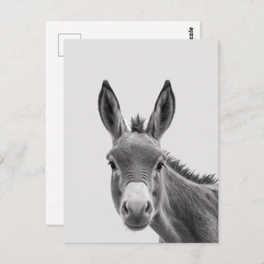 Peeking Sneaky Donkey Niedlich Postkarte (Vorne/Hinten)