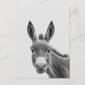 Peeking Sneaky Donkey Niedlich Postkarte (Vorderseite)