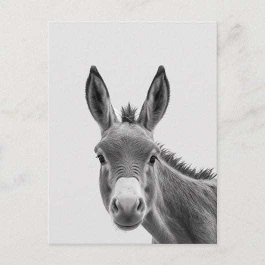 Peeking Sneaky Donkey Niedlich Postkarte (Vorderseite)
