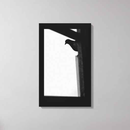 Peeking-Taube Leinwanddruck (Vorderseite)
