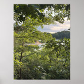 Peeking through the Trees Poster (Vorne)