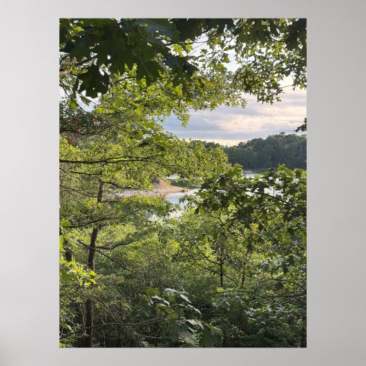 Peeking through the Trees Poster (Vorne)