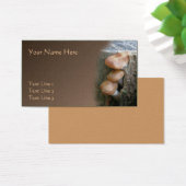 Peeking Wild Brown Pilze Nature (Schreibtisch)