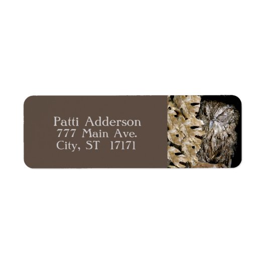 Peeking Winking Owl (Vorne)