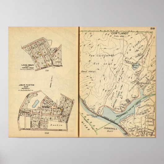 Peekskill, New York 2 Poster (Vorne)