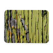 Peeling für grüne Farbe auf gewittertem Stallholz Magnet (Horizontal)
