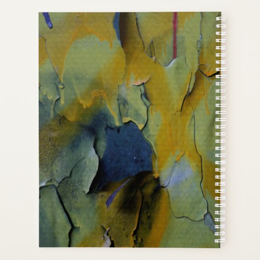 Peeling Planer (Rückseite)