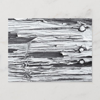 Peeling Postkarte