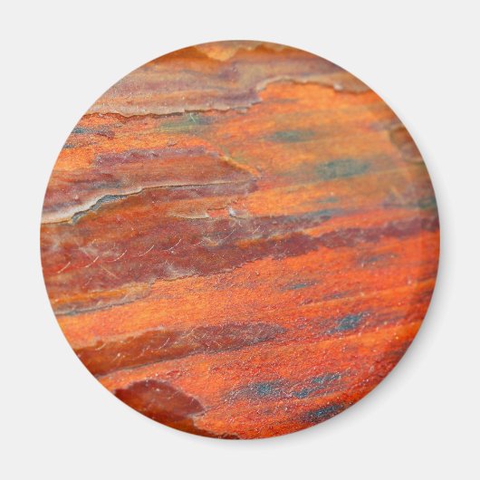 Peeling Wood Magnet (Vorne)