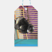 Peep Geschenkanhänger (Vorderseite)