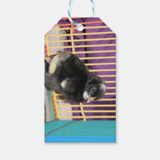 Peep Geschenkanhänger (Vorderseite)