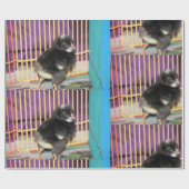 Peep Geschenkpapier (Flach)