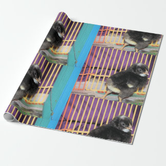 Peep Geschenkpapier