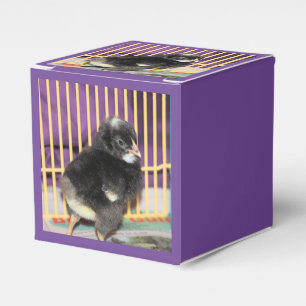 Peep Geschenkschachtel