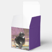 Peep Geschenkschachtel (Geöffnet)