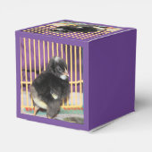 Peep Geschenkschachtel (Rückseite)