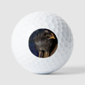 Peep Golfball (Vorderseite)