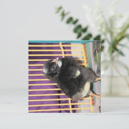 Peep Karte (Stehend Vorderseite)