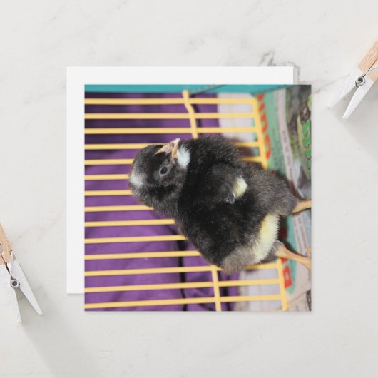 Peep Karte (Vorderseite/Rückseite Beispiel)