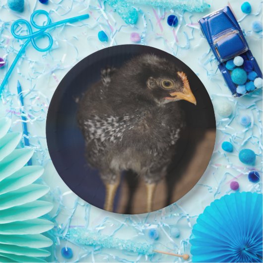 Peep Pappteller (Party)