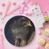 Peep Pappteller (Party)