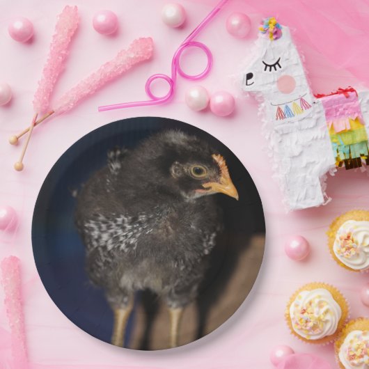 Peep Pappteller (Party)