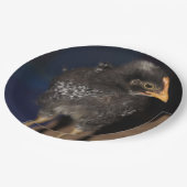 Peep Pappteller (Schrägansicht)