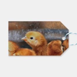 Peep Peep Geschenkanhänger